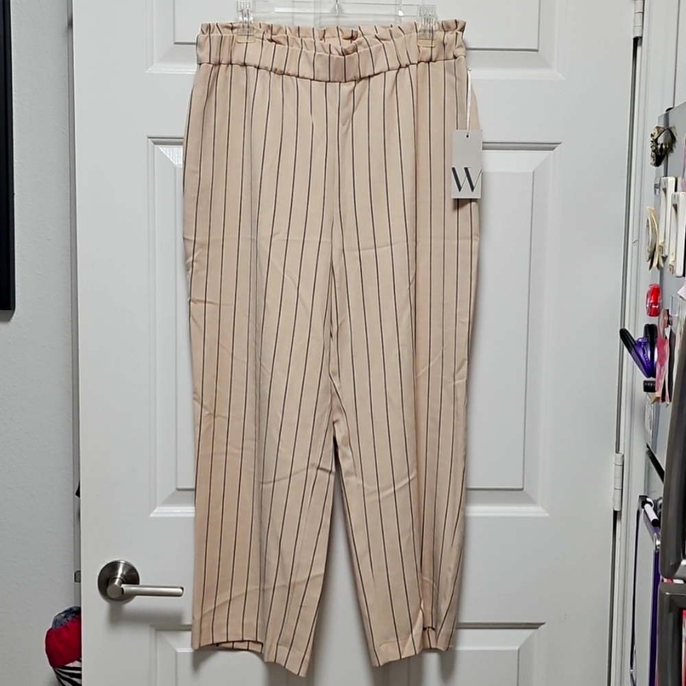 ✨️NWT~Nice Worthington Striped Pants with Hand Pockets Size Large